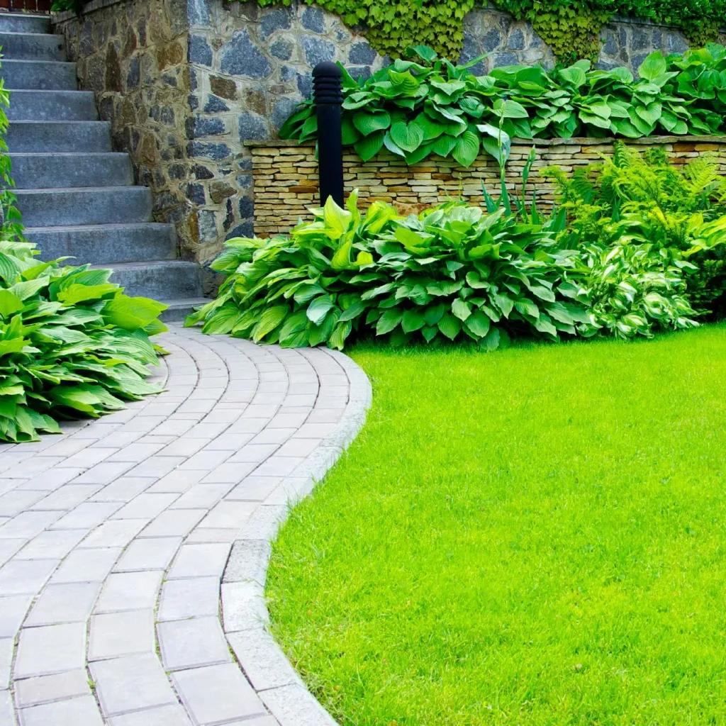 Gartenweg: Ein geschwungener Pflasterweg aus Steinplatten neben einer gepflegten Rasenfläche.